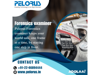 Pelorus|Forensics examiner