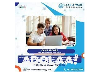 LAN AND WAN TECHNOLOGY ONLINE NETWORKING TRAINING INSTITUTE IN NOIDA