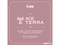 ace-terra-location-price-floor-brochure-call-8929888700-small-0