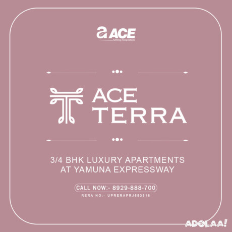 ace-terra-location-price-floor-brochure-call-8929888700-big-0