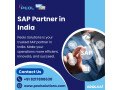 sap-partner-in-india-peol-solution-small-0