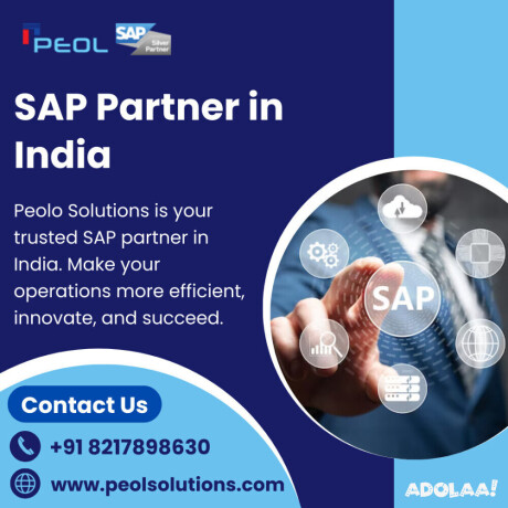 sap-partner-in-india-peol-solution-big-0