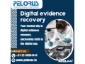 pelorus-digital-evidence-recovery-small-0
