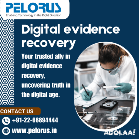 pelorus-digital-evidence-recovery-big-0
