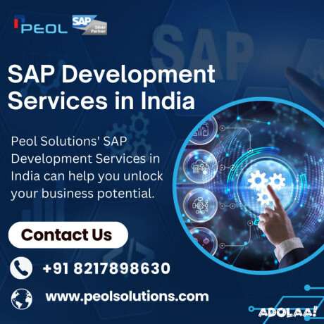 sap-development-services-in-india-sap-development-services-in-bangalore-big-0