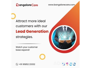 Business With Expert B2B Lead Generation Services In Bangalore