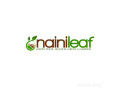explore-and-purchase-cactus-plants-at-nainileaf-small-0