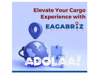 Eagabriz - Leading the Way in Logistics Innovation