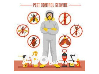 Best Termite Control In Chennai