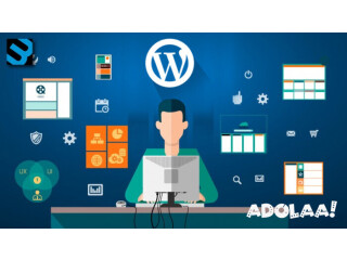 Hire Dedicated Wordpress Developer