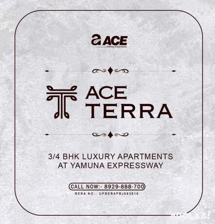 ace-terra-sector-22d-yamuna-expressway-greater-noida-8929888700-big-2