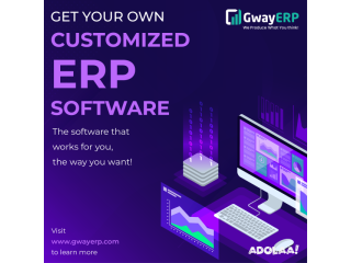 Top Custom-Built ERP Software Development Companyt