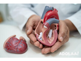 Aortic Valve Replacement (AVR) Surgery in India