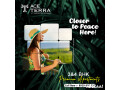discover-your-oasis-of-modern-living-at-ace-terra-8929888700-small-0