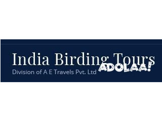 Indiabirdingtours