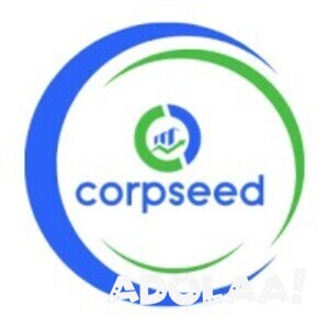 streamline-medical-device-registration-with-corpseeds-expertise-big-0