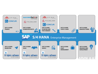 S 4 Hana