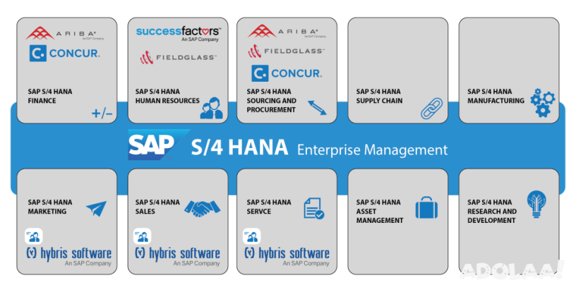 s-4-hana-big-0