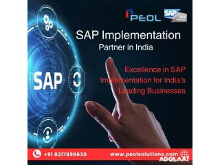 SAP Implementation Partner