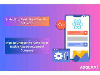 How to Choose the Right React Native App Development Company