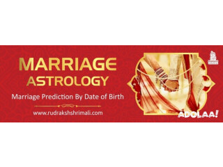 Vedic Astrology Consultations In Delhi - Rudraksh shrimali