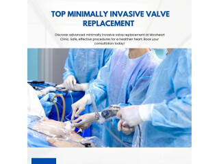 Top Minimally Invasive Valve Replacement