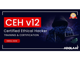 Ethical Hacker Certification Training