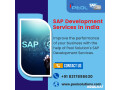 sap-development-services-in-india-peol-solutions-small-0