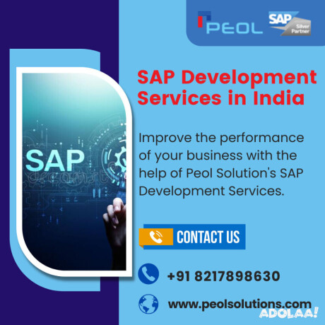 sap-development-services-in-india-peol-solutions-big-0