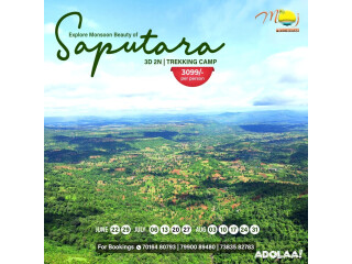 Get Exclusive Offers on Saputara Tour Packages