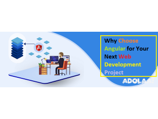 Why Choose Angular for Your Next Web Development Project