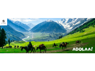 Get Exclusive Offers on Kashmir Tour Packages