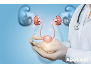 Kidney Transplant treatment in India