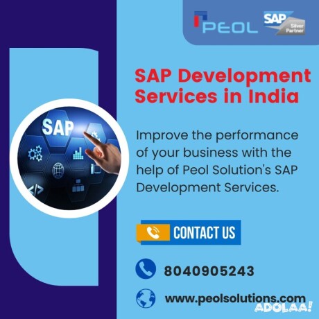 sap-development-services-in-indiasap-development-services-in-bangalore-big-1