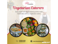 vegetarian-caterers-in-bangalore-small-0