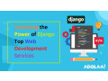 unlocking-the-power-of-django-top-web-development-services-small-0