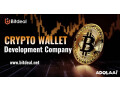 cryptocurrency-wallet-development-company-small-0