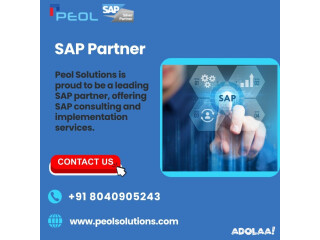 Peol solution|SAP Partner in India