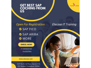 Best Institute for SAP Course in Delhi | Elecose IT Training Excellence