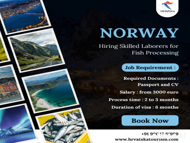 norway-hiring-skilled-laborers-for-fish-processing-big-0