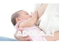 looking-for-surrogacy-clinics-in-delhi-call-918448841271-small-0