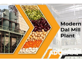 How to Establish a Dal Mill Plant to Expand Your Grocery Business?