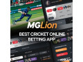 mglion-app-best-cricket-online-betting-app-small-0