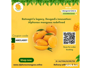 Fresh and Juicy Alphonso Mangoes Available Online - Buy Now!