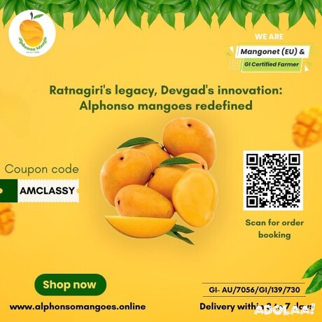 fresh-and-juicy-alphonso-mangoes-available-online-buy-now-big-0