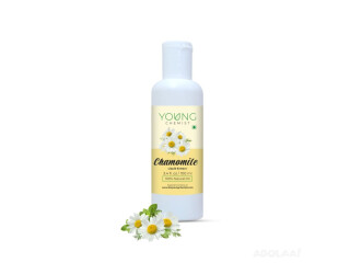 Chamomile Extract