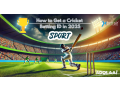 online-cricket-betting-id-small-0