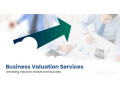 comprehensive-business-valuation-services-unlocking-growth-and-success-small-0