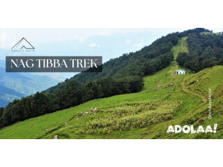 Explore the Nag tibba trek with Us. Book Now!