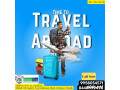 best-study-abroad-consultants-in-chandigarh-small-0